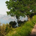 Explore a serene coastal trail with lush greenery and panoramic views in Praiano, Italy.