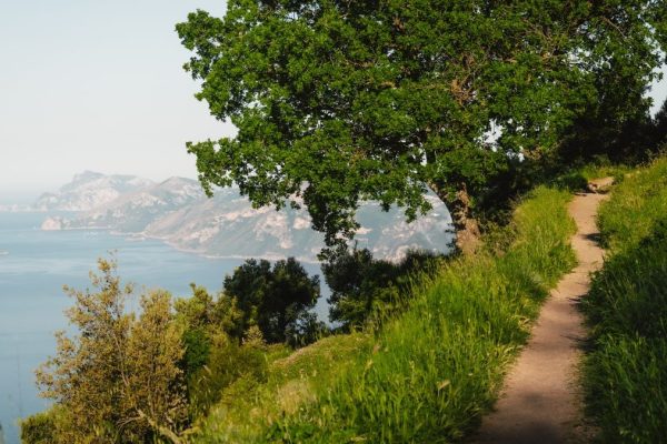 Explore a serene coastal trail with lush greenery and panoramic views in Praiano, Italy.