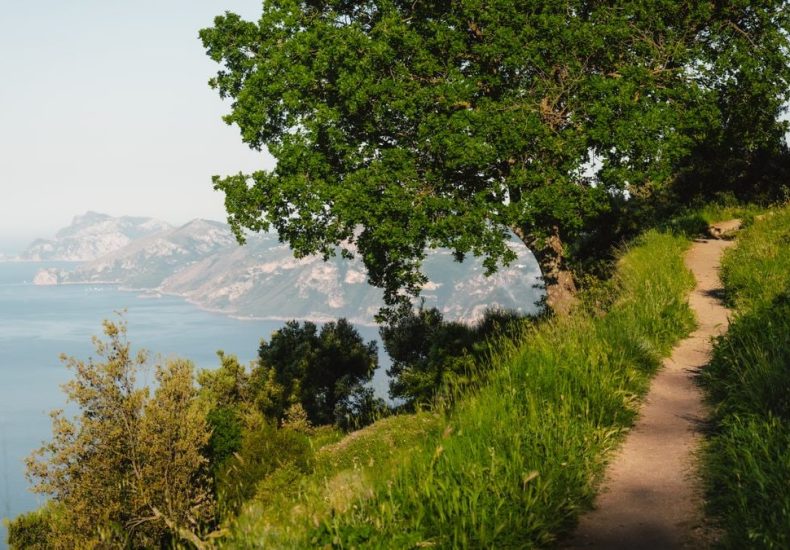 Explore a serene coastal trail with lush greenery and panoramic views in Praiano, Italy.