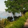 Explore a serene coastal trail with lush greenery and panoramic views in Praiano, Italy.